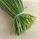 Cibulet ecològic