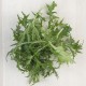 Fulles de mostassa verda ecològica