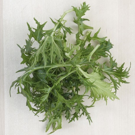 Fulles de mostassa verda ecològica