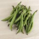 Xiulets de fava ecològics