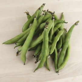 Xiulets de fava ecològics