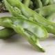 Xiulets de fava ecològics