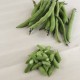 Xiulets de fava ecològics