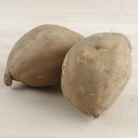 Moniato