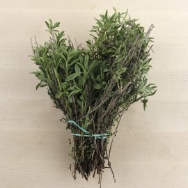 Sajolida ecològica
