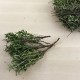 Sajolida ecològica