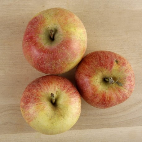 Pomes gala ecològiques