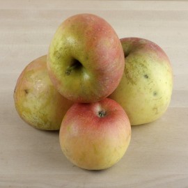 Pomes gala ecològiques