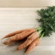 Manat de pastanagues ecològiques