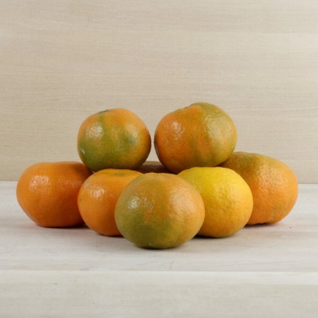 Mandarina clemenules ecològica
