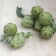 Carxofa ecològica