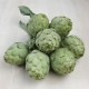 Carxofa ecològica