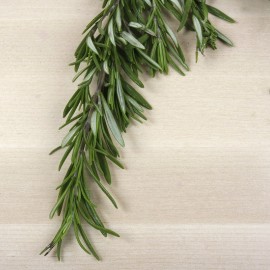 Romaní de cultiu, ecològic