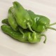 Pebrot italià ecològic, amb certificació CCPAE