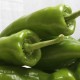 Pebrot italià ecològic, amb certificació CCPAE