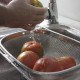 Tomàquet per amanir Anairis ecològic amb certificació CCPAE