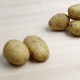 patata nova kennebek ecològica, amb certificat CCPAE