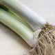 All porro ecològic amb certificació CCPAE