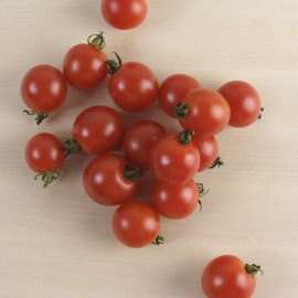 Tomàquet de cirerol o "cherry" ecològic, amb certificat CCPAE