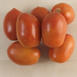 Tomàquet de pera ecològic