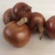 Ceba morada d'Amposta ecològica