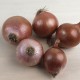 Ceba morada d'Amposta ecològica