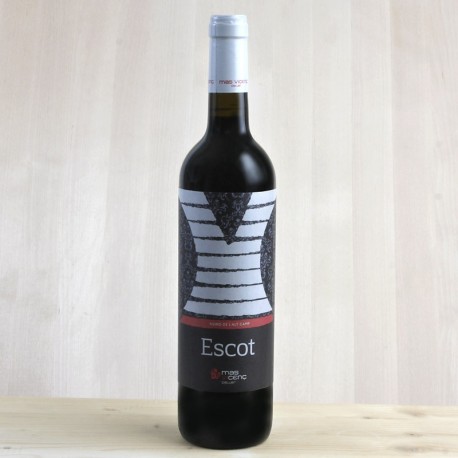 Escot negre, Mas Vicenç