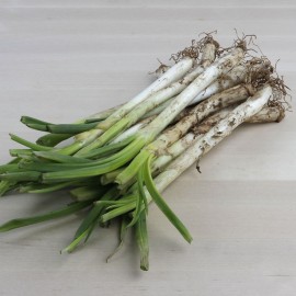 Calçot petit per cuinar a casa
