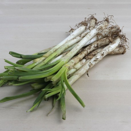 Calçot petit per cuinar a casa