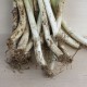 Calçot petit per cuinar a casa