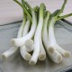 Calçot petit per cuinar a casa