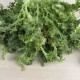 Escarola ecològica