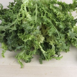 Escarola ecològica