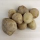 Patata