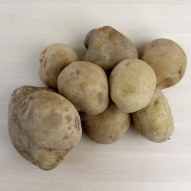 Patata