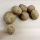 Patata