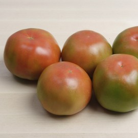 Tomàquet per amanir
