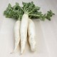 Nap daikon ecològic 