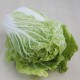 Col xinesa ecològica