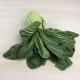 Pak choi