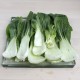 Pak choi
