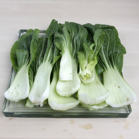 Pak choi