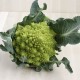 Bròquil romanesco ecològic