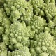 Bròquil romanesco ecològic