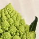 Bròquil romanesco ecològic