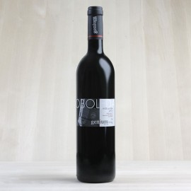 Poboleda Vi de Vila 2009, DOQ Priorat