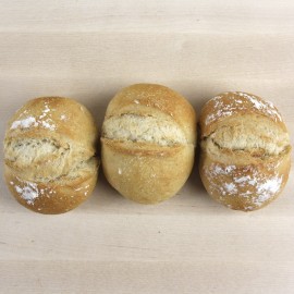 Panets de blat ecològic