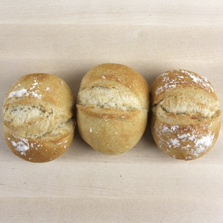 Panets de blat ecològic