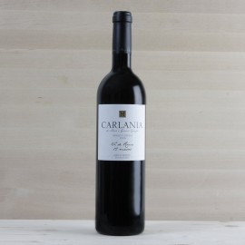 Carlania negre criança 2008, 12 mesos de bóta. Vi ecològic