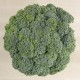 Bròcoli
